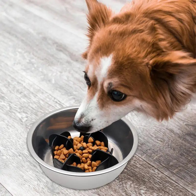 Pet Slower Food Feeding Dishes Interactive Bloat Stop Dog Bow