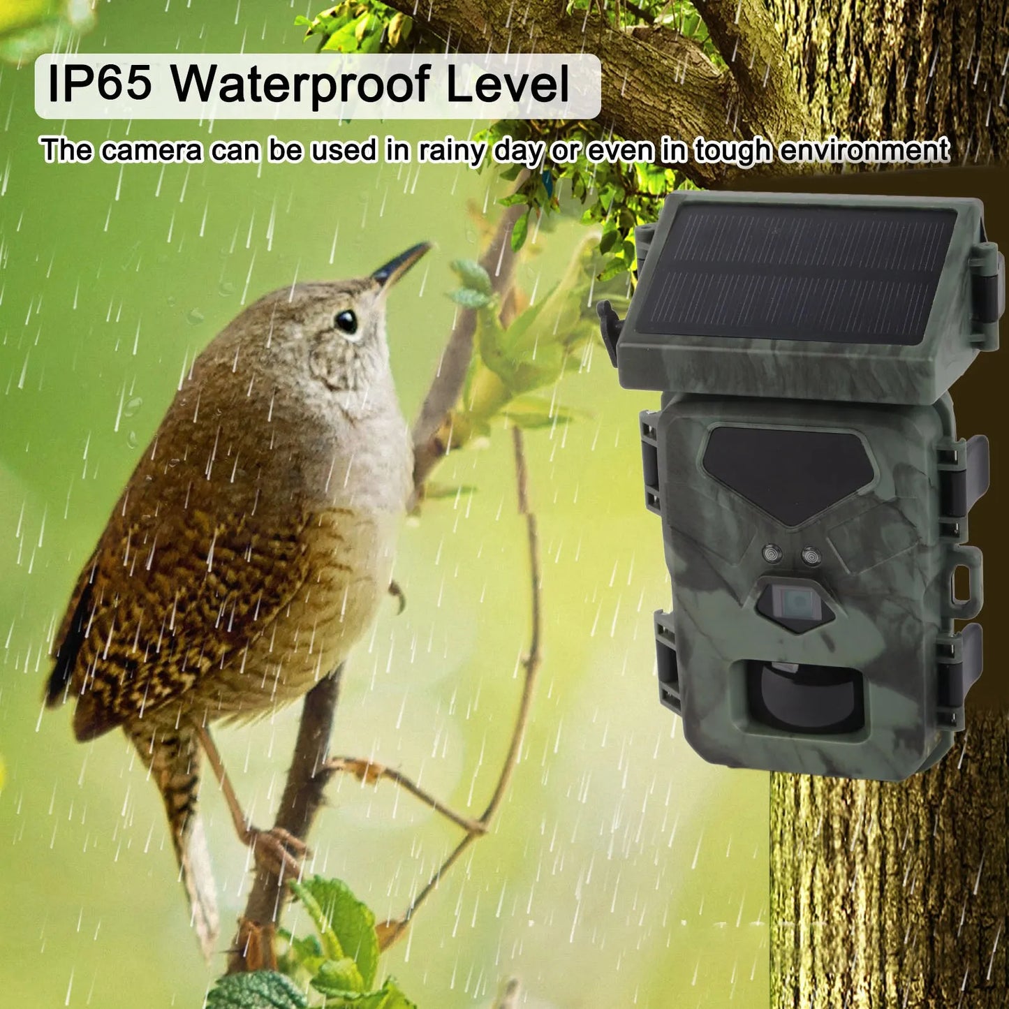 Mini Trail Camera Trail Camera IR Night Vision Waterproof