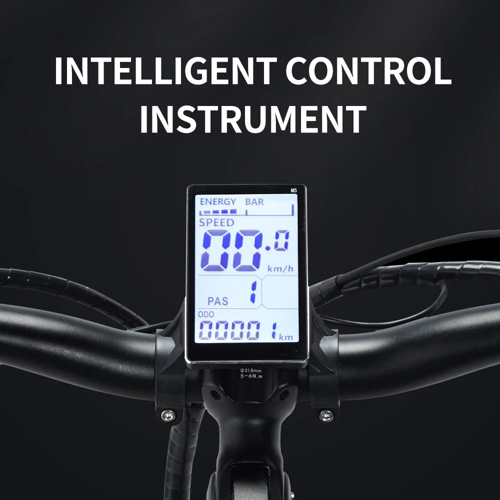 Folding Electric Bike 1000W 48v Fat Tire Bike 20 Inch