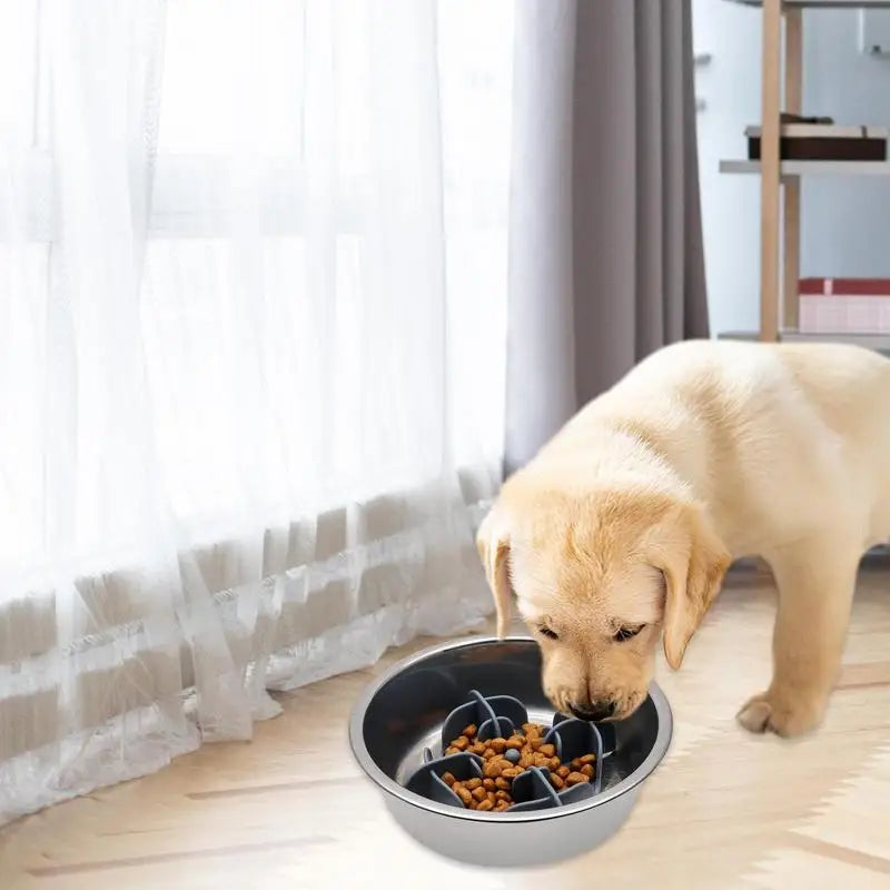 Pet Slower Food Feeding Dishes Interactive Bloat Stop Dog Bow