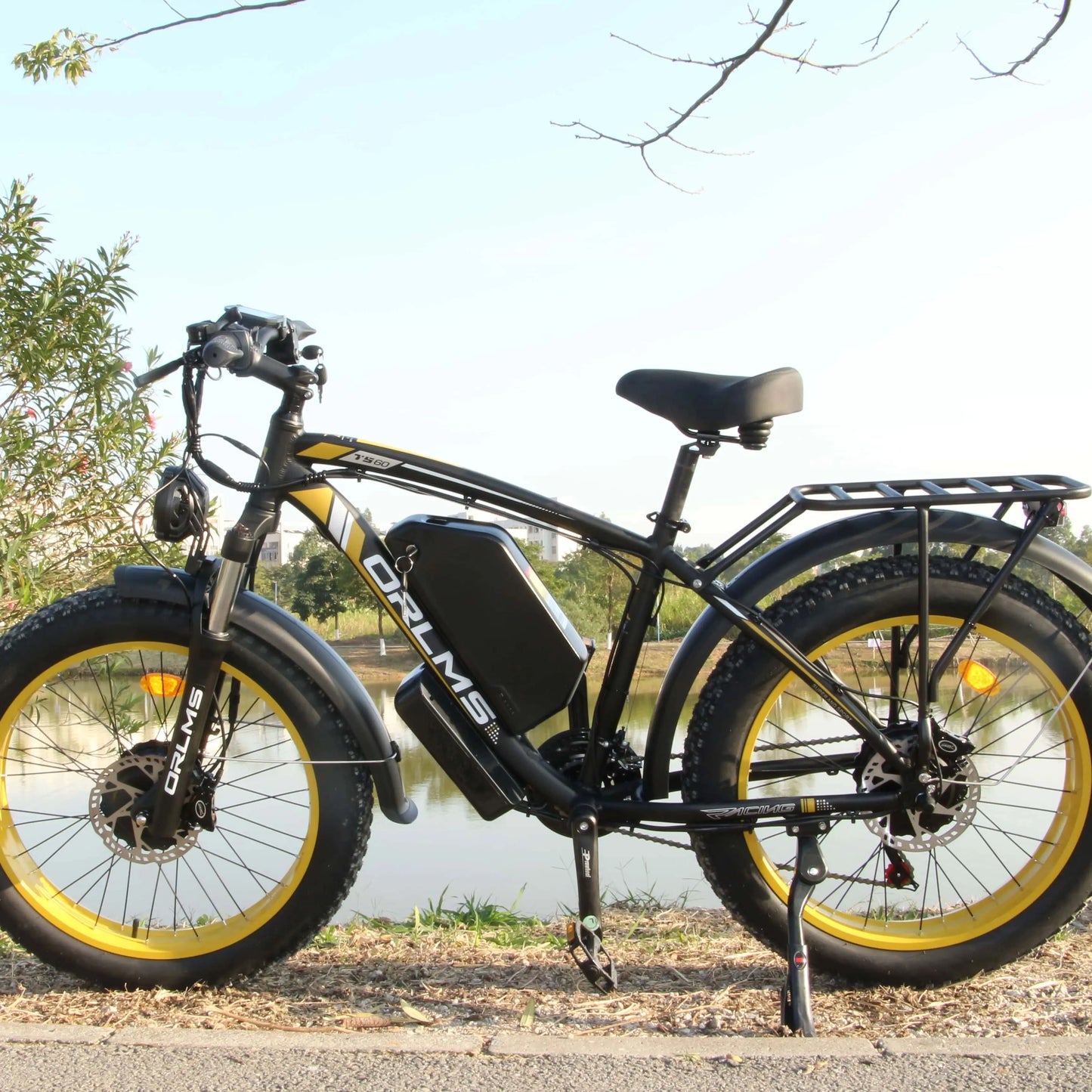 Electric bikes 2000W motor front and rear double shock absor