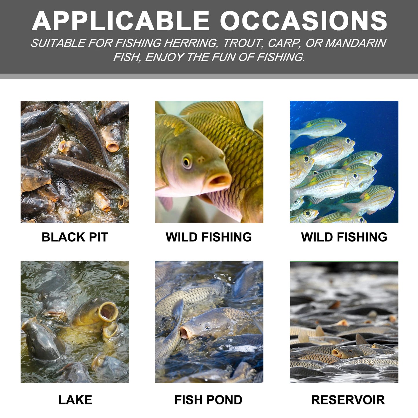 Yegbong Corn Bait Feed Fishing Bait Carp And Bighead Fish