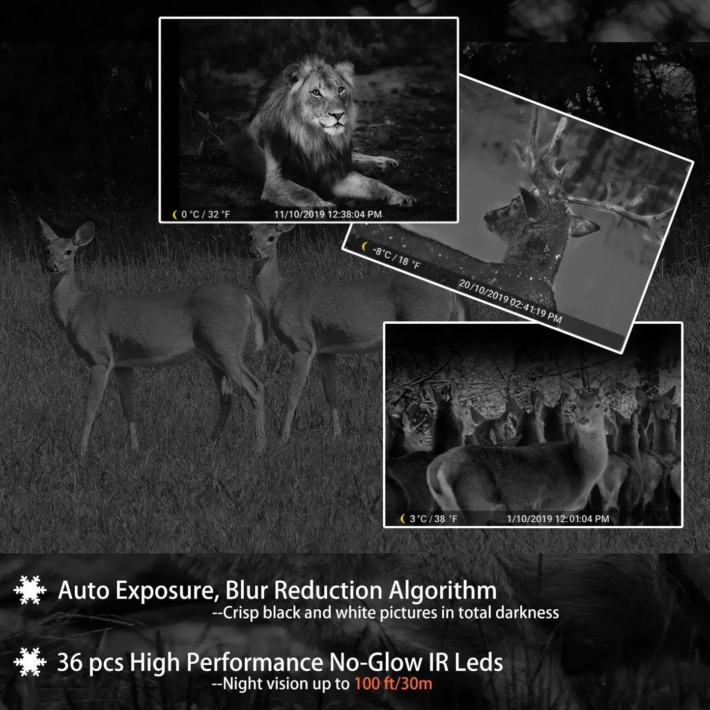 5-Pack Game & Trail Camera  0.1S Trigger Time No Glow 100ft Night Vision