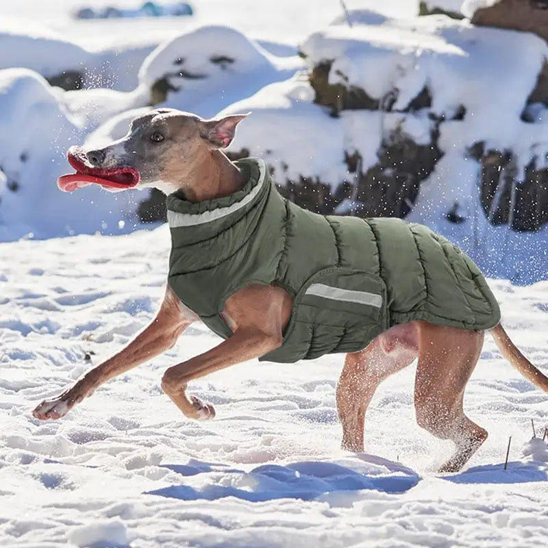 Winter Pet Warm Thickened Waterproof Fleece Line Comfortable Reflective