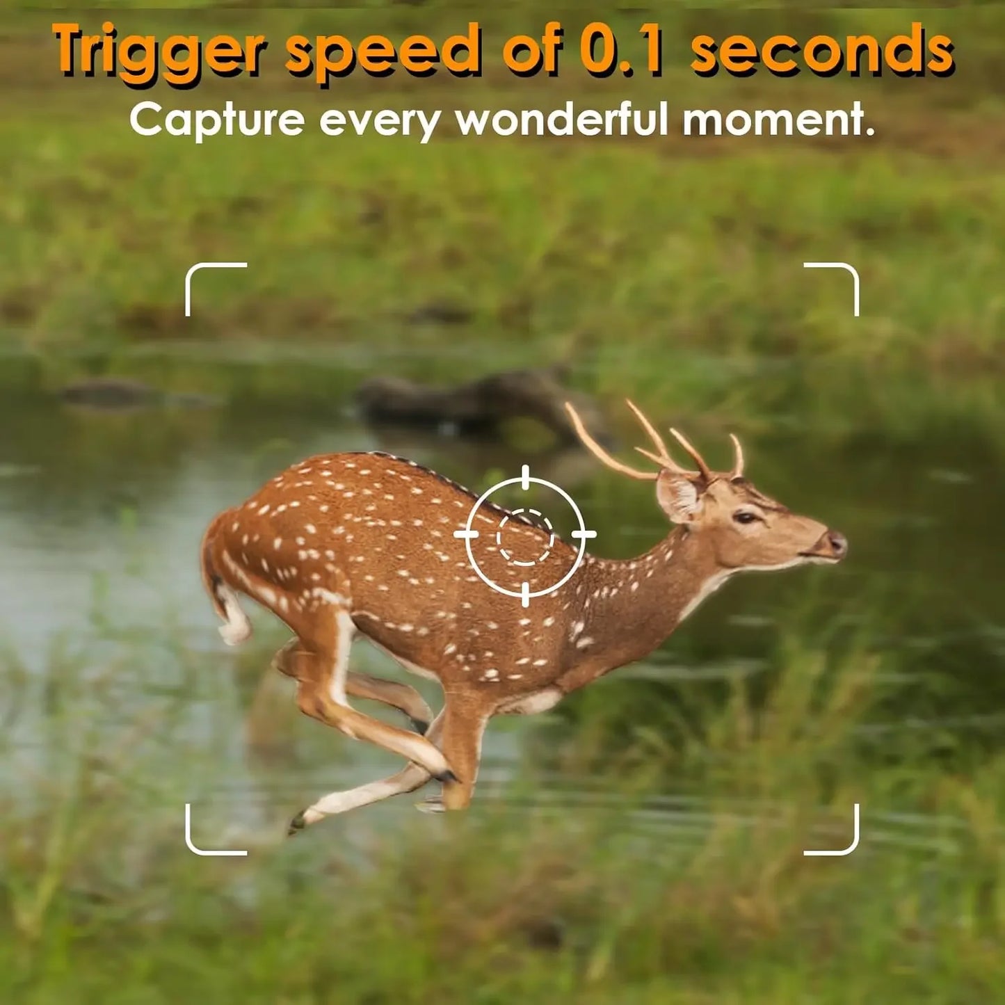 5-Pack Game & Trail Camera  0.1S Trigger Time No Glow 100ft Night Vision