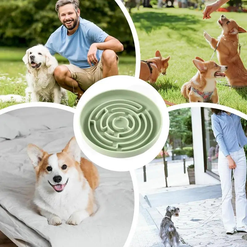 Slow Feeder Dog Bowls Puzzle