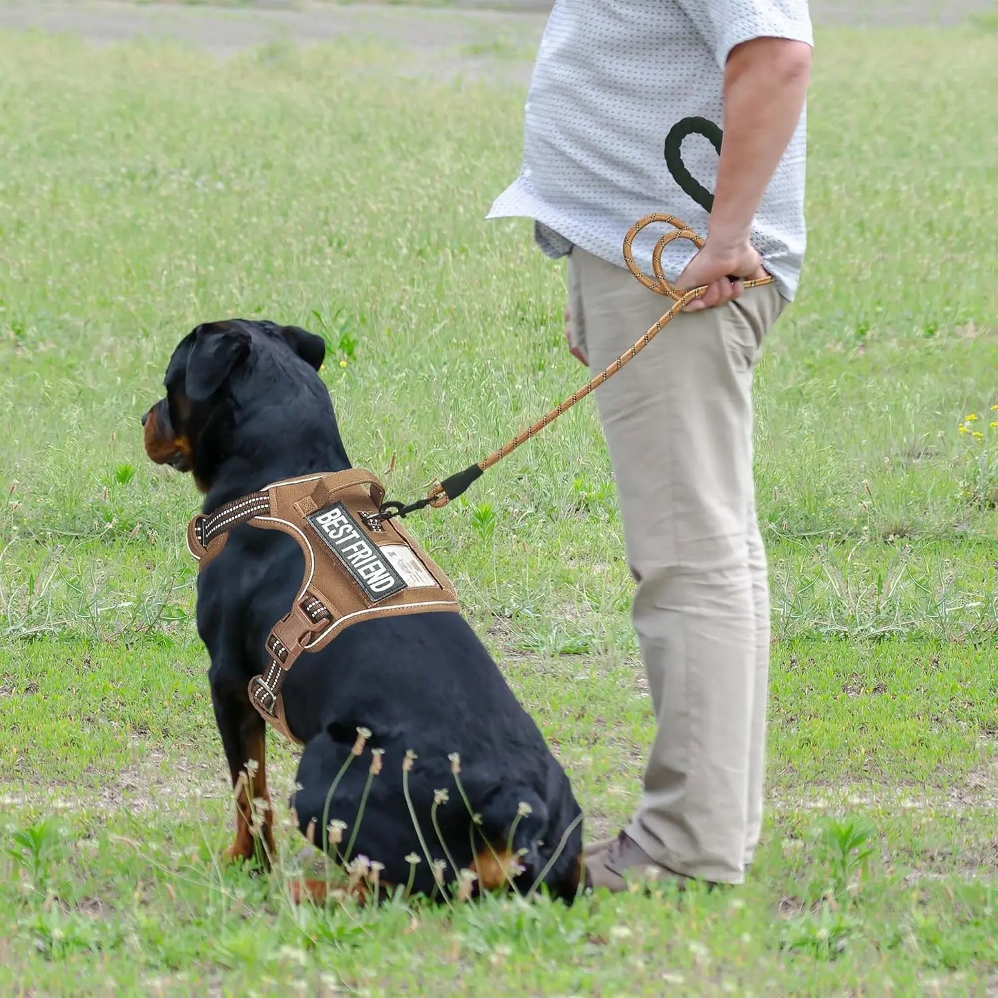 Heavy Duty Tactical Dog Harness for Large Dogs