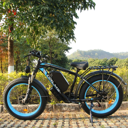 Electric bikes 2000W motor front and rear double shock absor