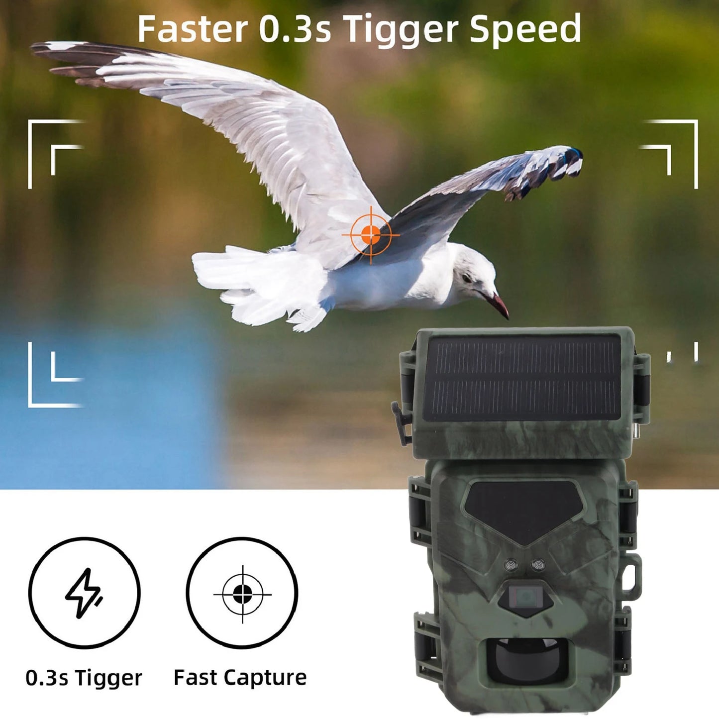 Mini Trail Camera Trail Camera IR Night Vision Waterproof