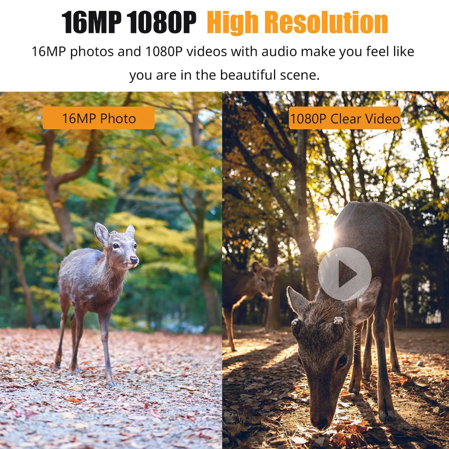 1080P Hunting Camera 2.0in LCD 16MP Infrared Night Vision