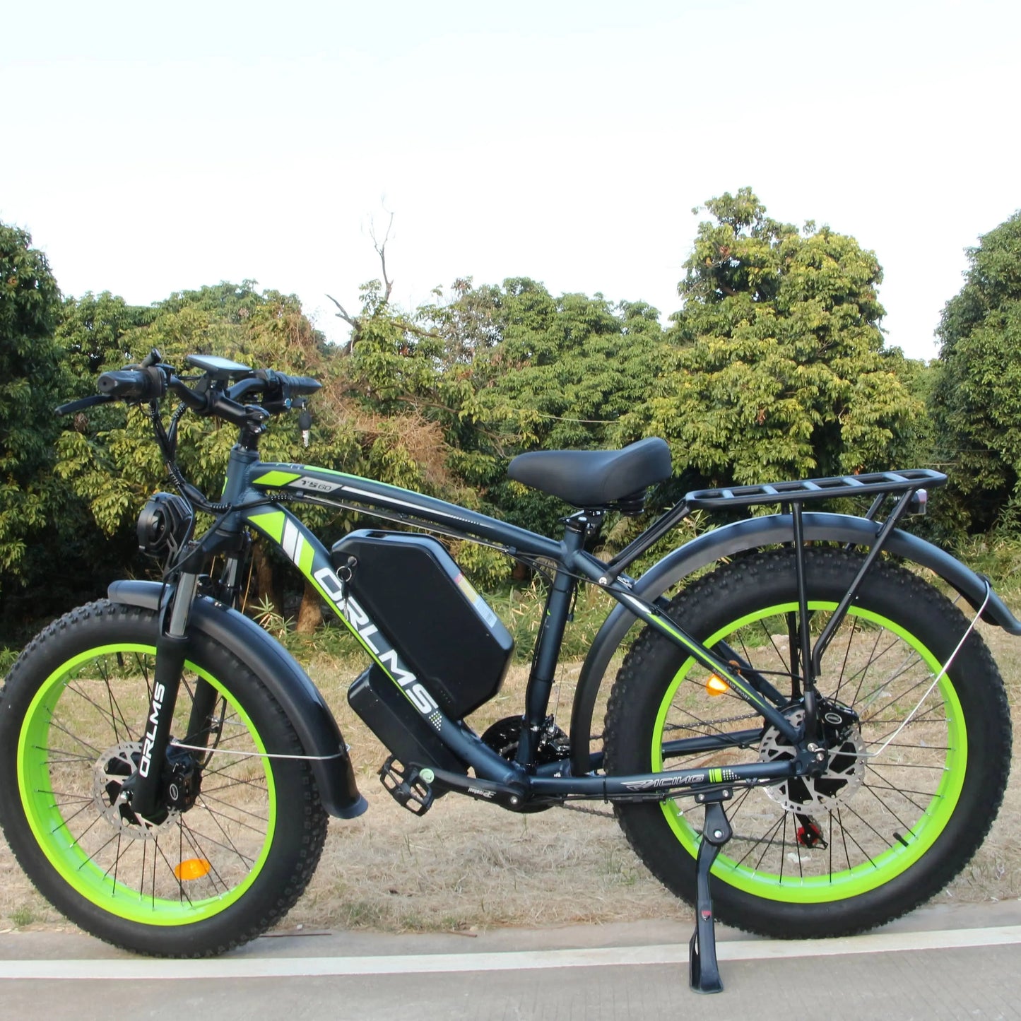 Electric bikes 2000W motor front and rear double shock absor
