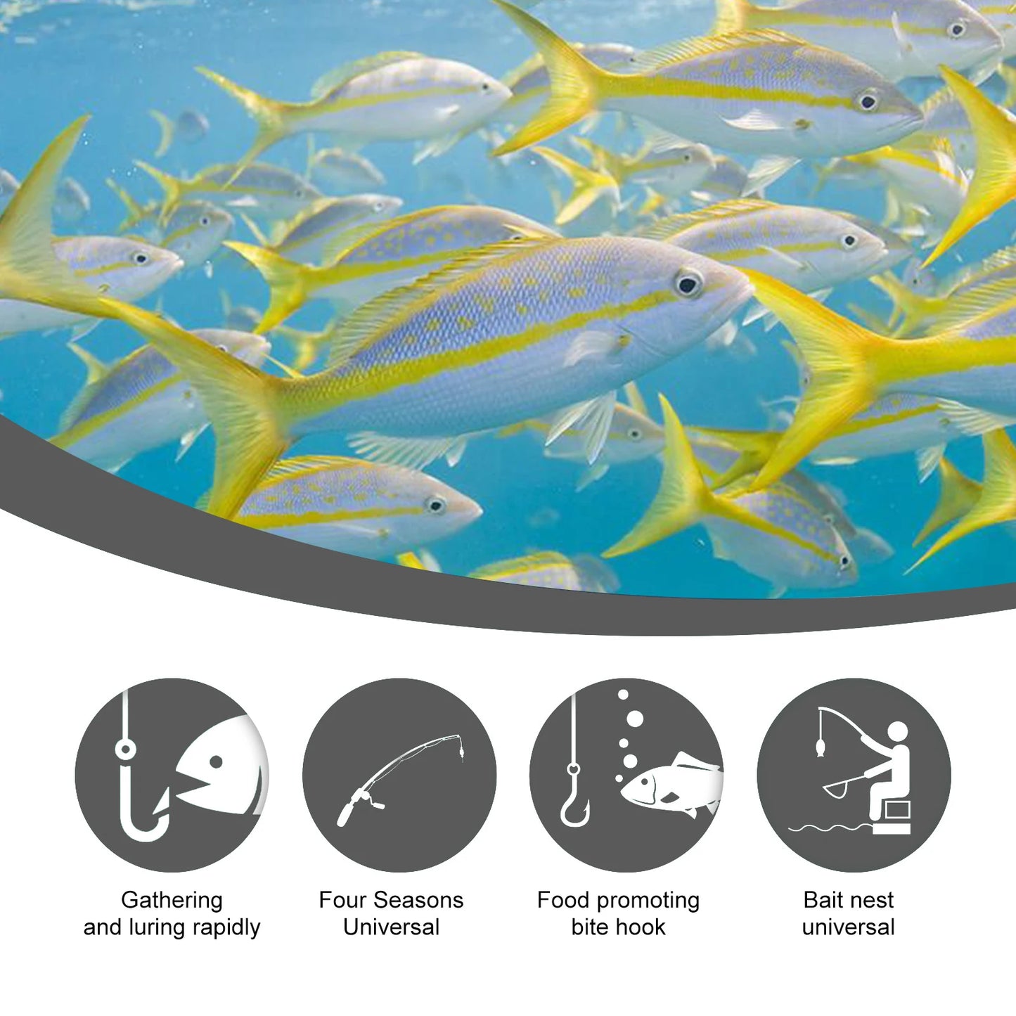 Yegbong Corn Bait Feed Fishing Bait Carp And Bighead Fish