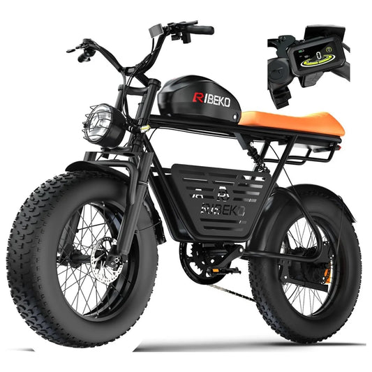 Electric Adult Fat Tire Bike With Dual Motor 2000W 7 Speed Max Speed 30 To 50 KMH