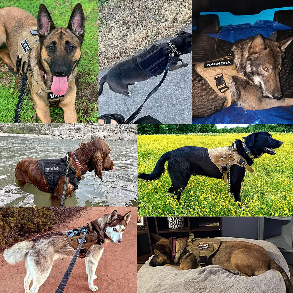 Training Vests Tactical Dogs Harnesses Accessories