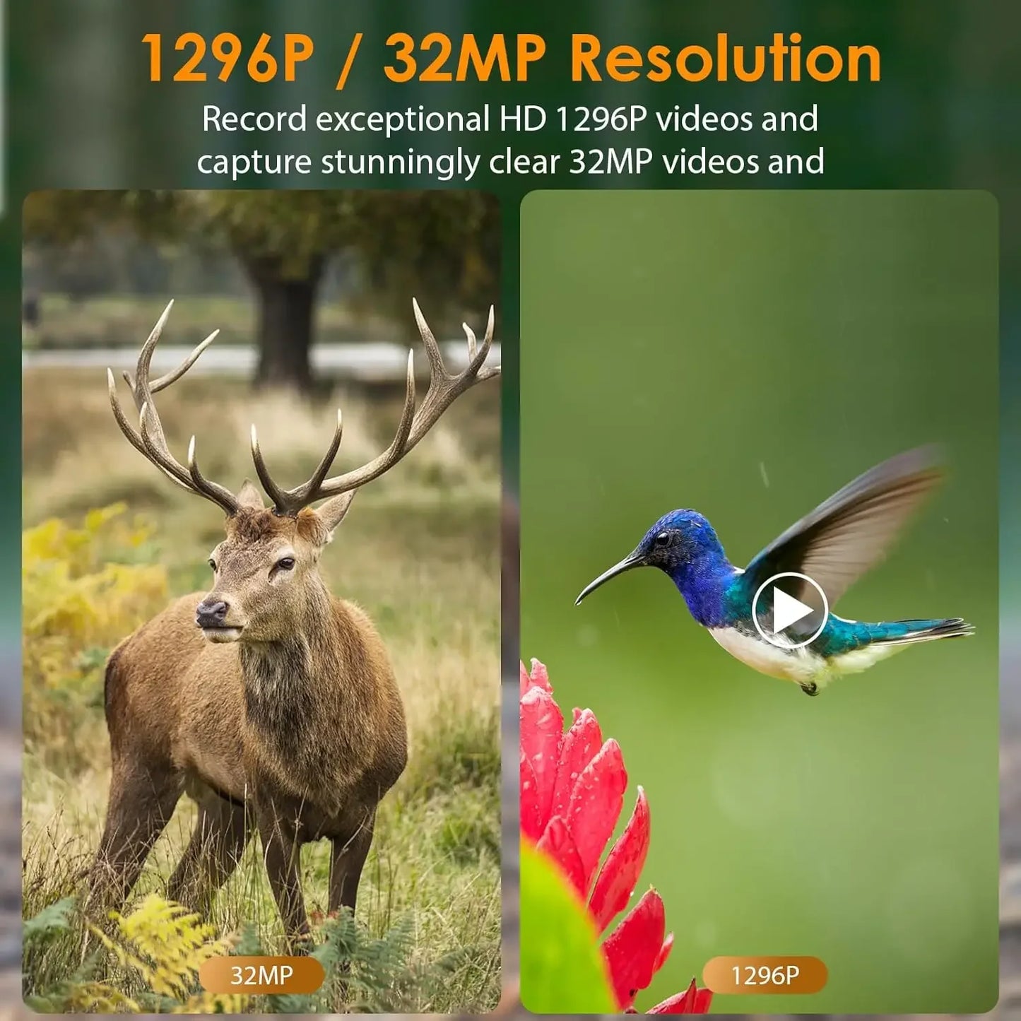 5-Pack Game & Trail Camera 32MP 1296P HD Video Motion Activated  No Glow